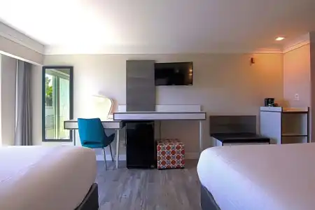 Costa Art Laguna Beach - 29