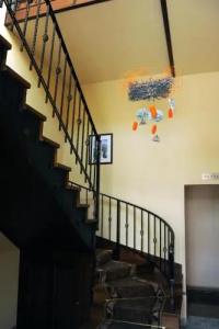 Oázis Apartments - 10