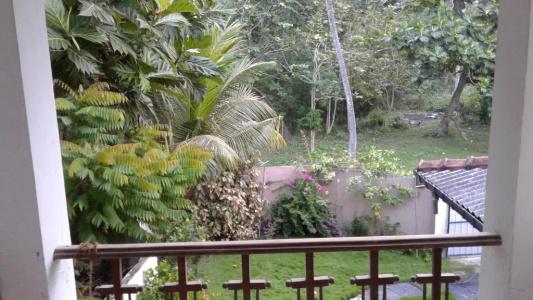 Singha Holidays Mirissa - 8