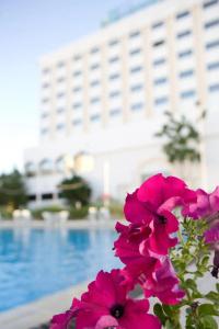 Muscat Holiday - 21