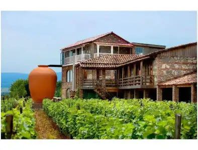 Twins Wine House - 11