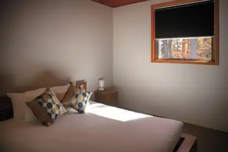 Phoenix Cocoon - 5