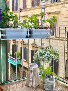 B&B L'Arca Di Noè - 0