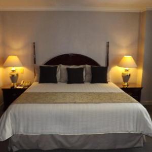 Pedregal Palace - 19