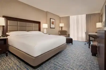 Hilton Tampa Downtown - 66