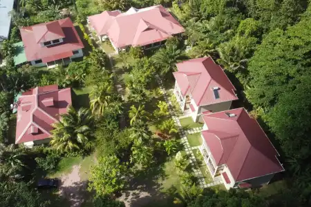 Villa Rafia - 15