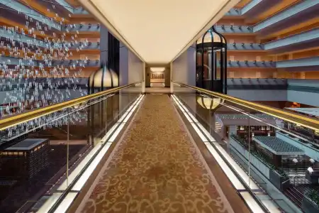 Conrad Singapore Orchard - 26