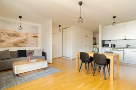 Business & Family Ambiente Apartments - 133
