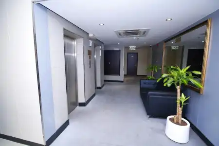 Royal Falcon - 1