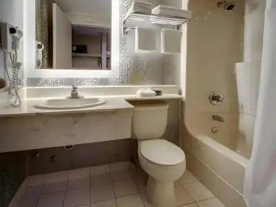 Monte Carlo Inn Toronto - Markham - 8