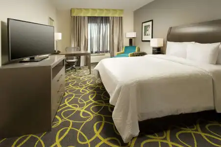 Hilton Garden Inn College Station - 4
