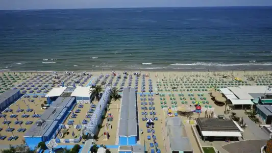 Charlie in Pesaro - 22