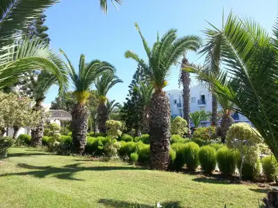 Eden Club Skanes - 11