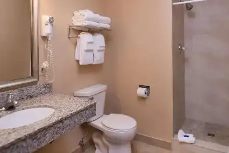 Best Western Ambassador Inn & Suites - 176