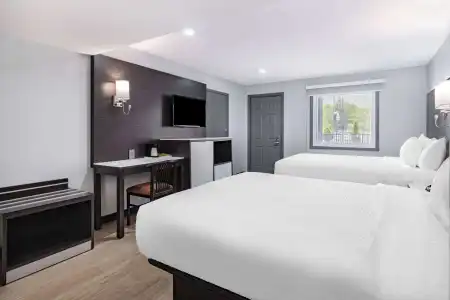 Days Inn & Suites by Wyndham Niagara Falls/Buffalo - 5
