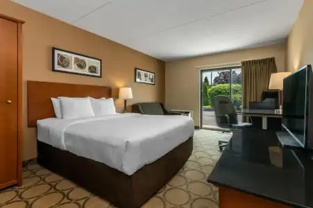 Comfort Inn Laval - 50
