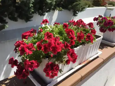 Marisma Sancti Petri - 32