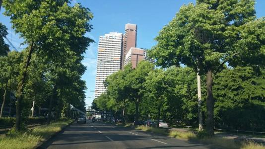 Design Sleepy Cologne - 10