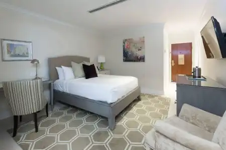 The Cincinnatian Curio Collection by Hilton - 4