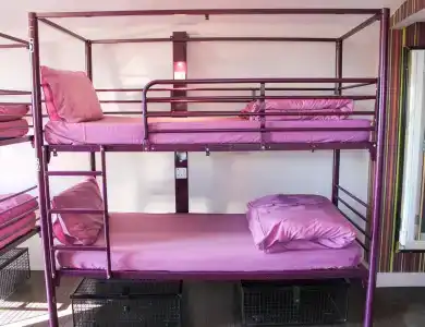 Safestay London Kensington Holland Park - 1
