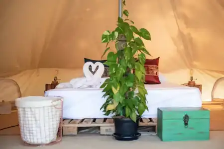 Roost Glamping - 17