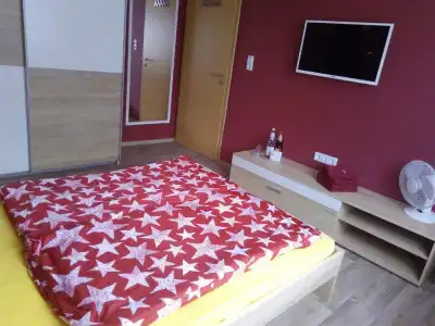 Pension zum Ringelberg - 38