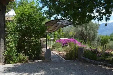 Son Bleda - 9