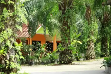 Palm Kaew Resort Krabi - 71