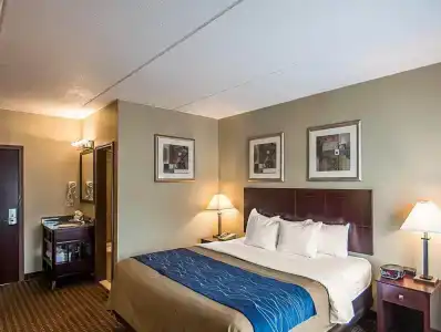 Comfort Inn Rochester - 27