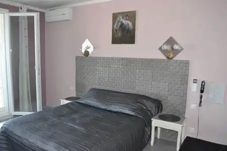 Hôtel Le Dauphin Bleu - 65