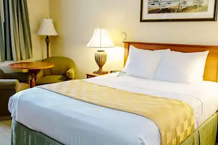 Lavissh Inn and Suites - 34