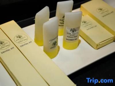 Bar Peepal Resort - 91