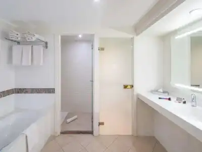Mercure Paris CDG Airport - 88
