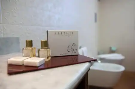 Artemis - 74