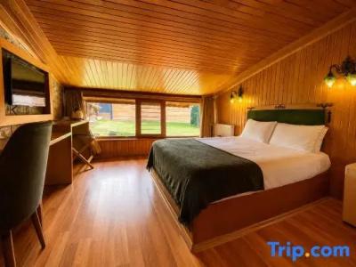 Ayder Doga Resort - 15