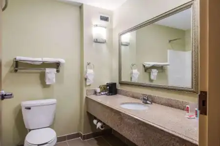 Econo Lodge Inn & Suites Little Rock SW - 30