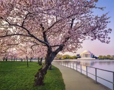 Kimpton Monaco Washington DC by IHG - 29
