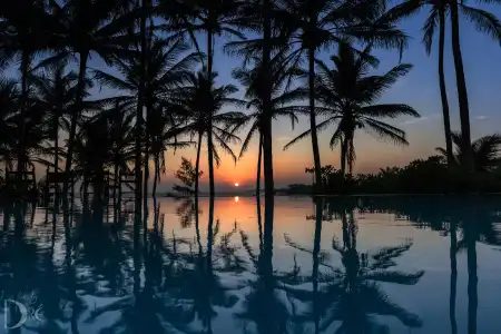 Turtle Bay - 14