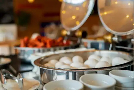 ibis Bursa - 9