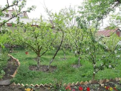 Artush & Raisa B&B - 6