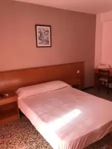 Iris - 60