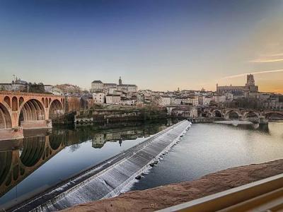 Mercure Albi Rives du Tarn - 44