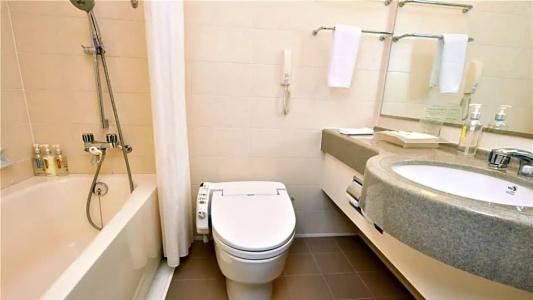 Holiday Inn ANA Sendai by IHG - 133