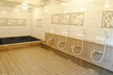 Ryokan Nissho-besso - 8