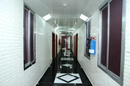 Zaineast - 6