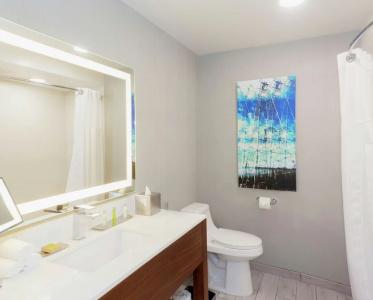 DoubleTree by Hilton Bakersfield - 51