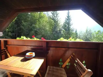 Vila Edelweiss Rooms&App Kranjska Gora - 56
