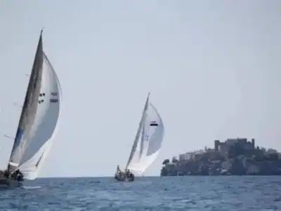 Estrella del Mar - 18