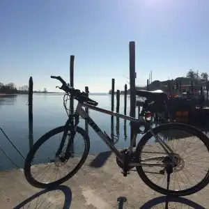 Picobello - 44