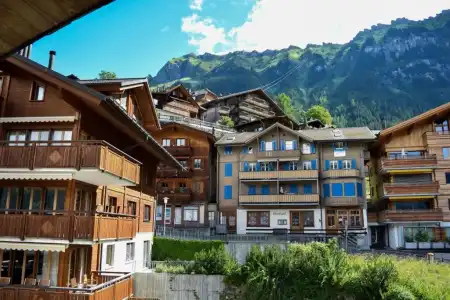 Alpenkräuter Bären - 28